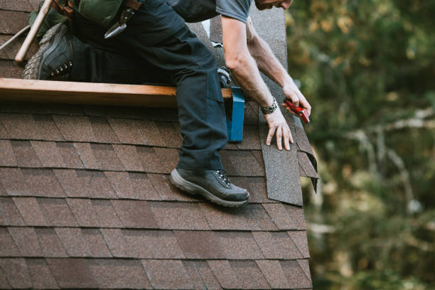 Best Local Roofing Companies  in Wyomissing, PA